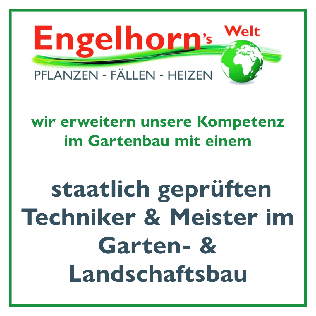 Neue Kompetenzen 1